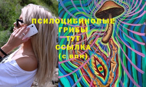гидра Заводоуковск