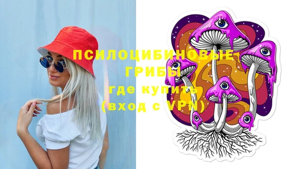 гидра Заводоуковск