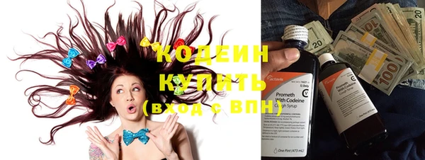 гидра Заводоуковск