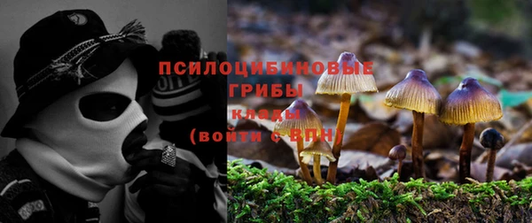 гидра Заводоуковск