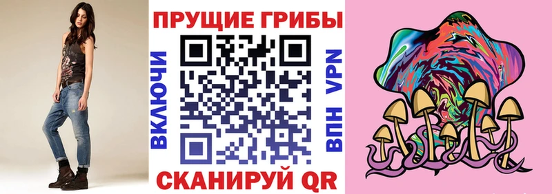 купить наркоту  Злынка  Галлюциногенные грибы мухоморы 