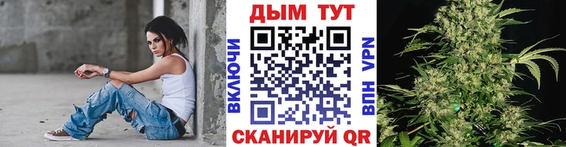 Шишки марихуана сатива  это официальный сайт  Злынка 